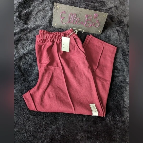 NWT A New Day Burgundy Front Pleat Pull on Pant XXL - Picture 1 of 5